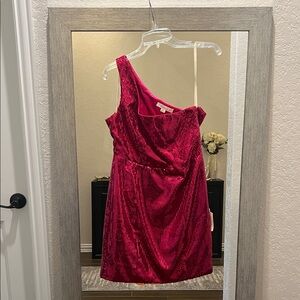 Forever 21 Hot Pink Velvet Dress